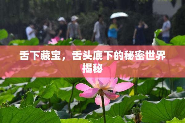舌下藏宝，舌头底下的秘密世界揭秘