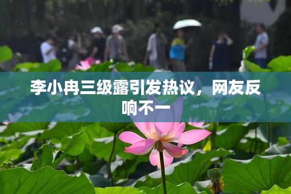李小冉三级露引发热议，网友反响不一