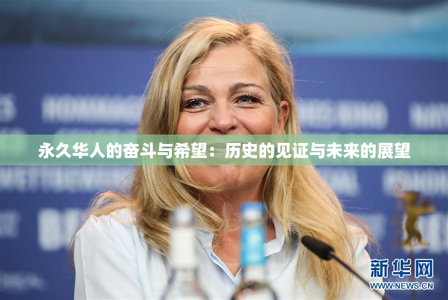 永久华人的奋斗与希望：历史的见证与未来的展望