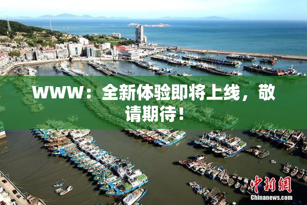 WWW：全新体验即将上线，敬请期待！