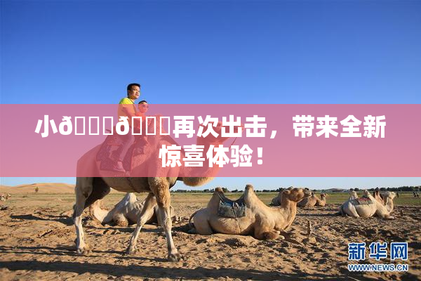 小🐔🐔再次出击，带来全新惊喜体验！