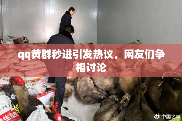 qq黄群秒进引发热议，网友们争相讨论
