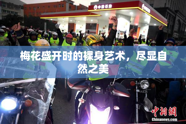 梅花盛开时的裸身艺术，尽显自然之美