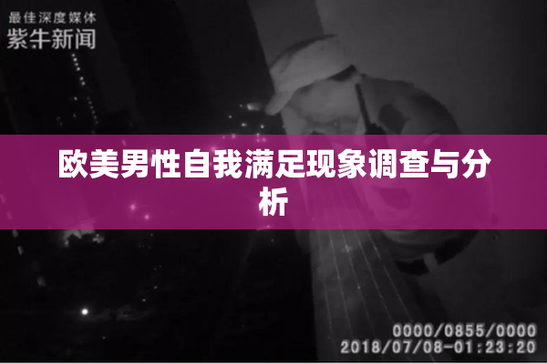 欧美男性自我满足现象调查与分析
