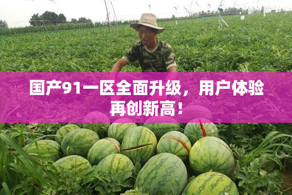 国产91一区全面升级，用户体验再创新高！