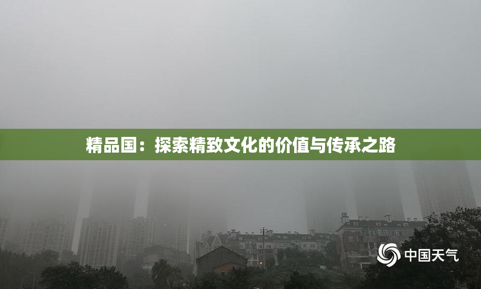 精品国：探索精致文化的价值与传承之路