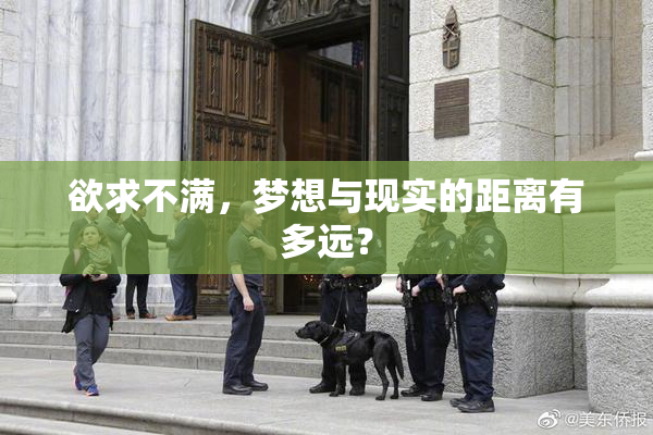 欲求不满，梦想与现实的距离有多远？