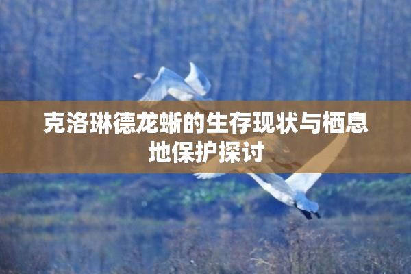 克洛琳德龙蜥的生存现状与栖息地保护探讨