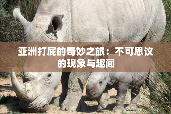 亚洲打屁的奇妙之旅：不可思议的现象与趣闻