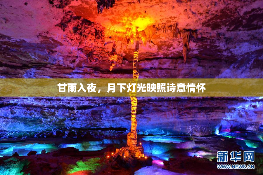 甘雨入夜，月下灯光映照诗意情怀