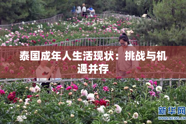 泰国成年人生活现状：挑战与机遇并存