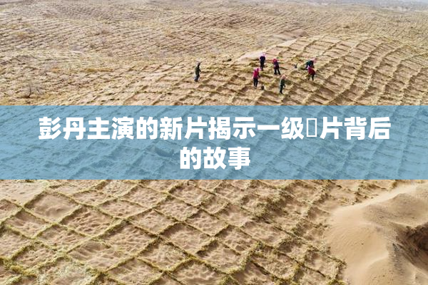 彭丹主演的新片揭示一级婬片背后的故事
