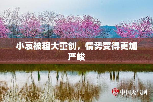 小哀被粗大重创，情势变得更加严峻