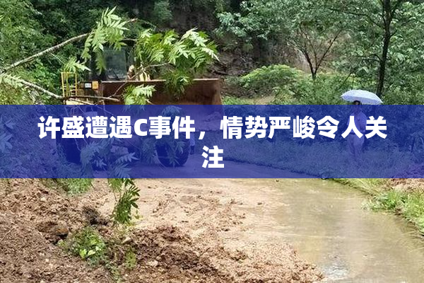 许盛遭遇C事件，情势严峻令人关注