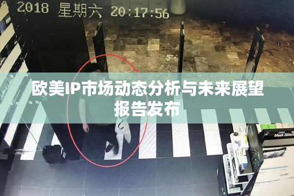 欧美IP市场动态分析与未来展望报告发布