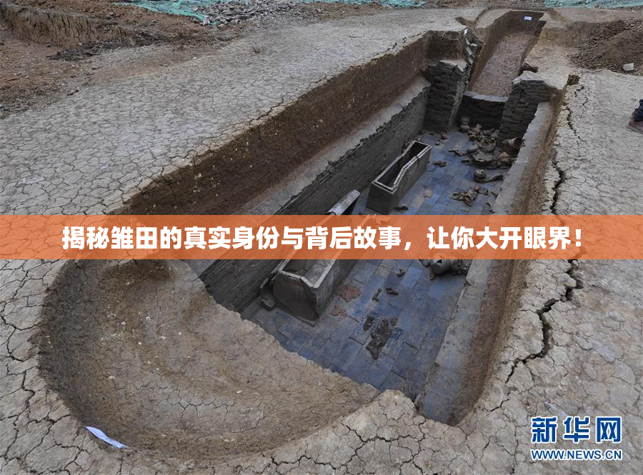 揭秘雏田的真实身份与背后故事，让你大开眼界！