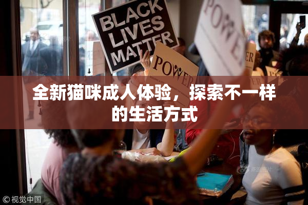 全新猫咪成人体验，探索不一样的生活方式