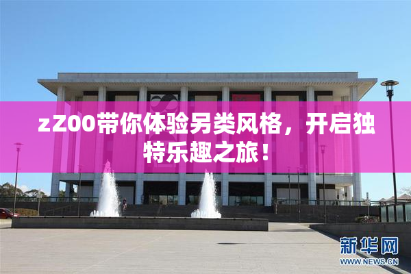 zZ00带你体验另类风格，开启独特乐趣之旅！