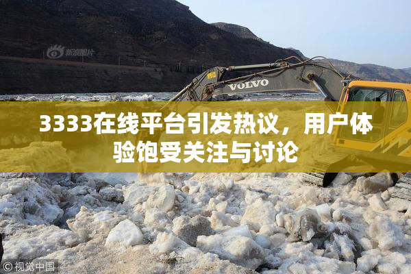 3333在线平台引发热议，用户体验饱受关注与讨论
