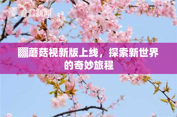 ▓蘑菇视新版上线，探索新世界的奇妙旅程