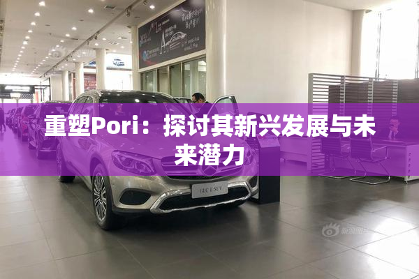 重塑Pori：探讨其新兴发展与未来潜力