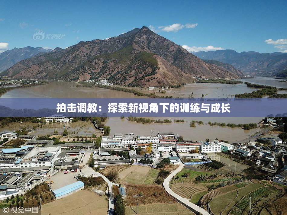 拍击调教：探索新视角下的训练与成长