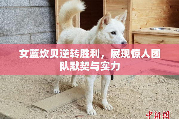 女篮坎贝逆转胜利，展现惊人团队默契与实力