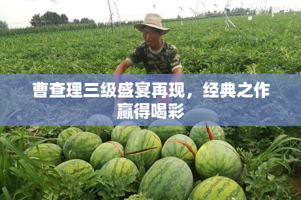 曹查理三级盛宴再现，经典之作赢得喝彩