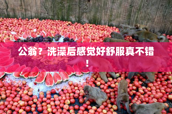 公翁？洗澡后感觉好舒服真不错！