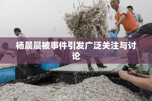 杨晨晨被事件引发广泛关注与讨论