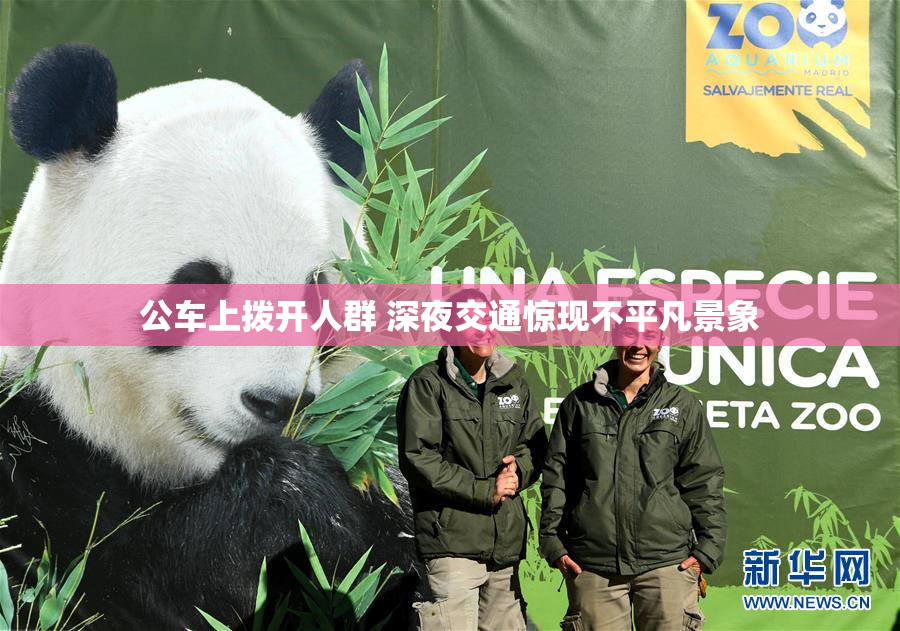 公车上拨开人群 深夜交通惊现不平凡景象