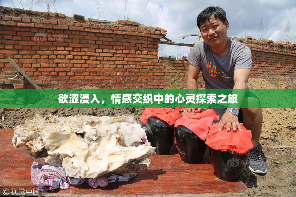 欲涩漫入，情感交织中的心灵探索之旅