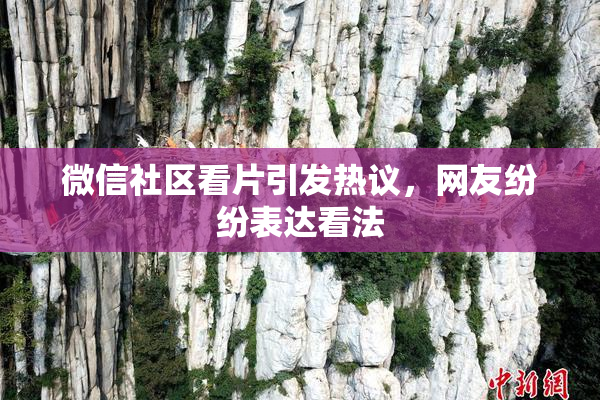 微信社区看片引发热议，网友纷纷表达看法