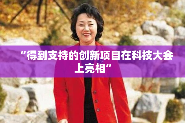 “得到支持的创新项目在科技大会上亮相”