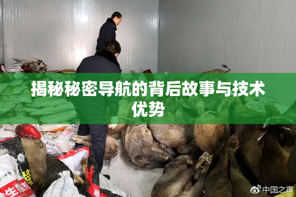 揭秘秘密导航的背后故事与技术优势
