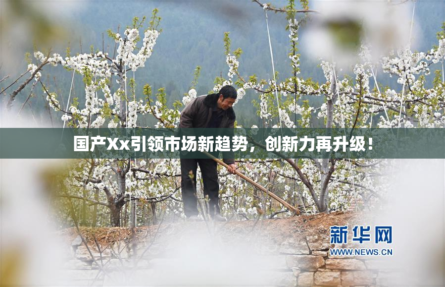 国产Xx引领市场新趋势，创新力再升级！