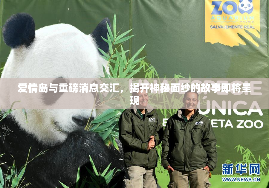 爱情岛与重磅消息交汇，揭开神秘面纱的故事即将呈现