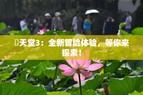妺天堂3：全新冒险体验，等你来探索！