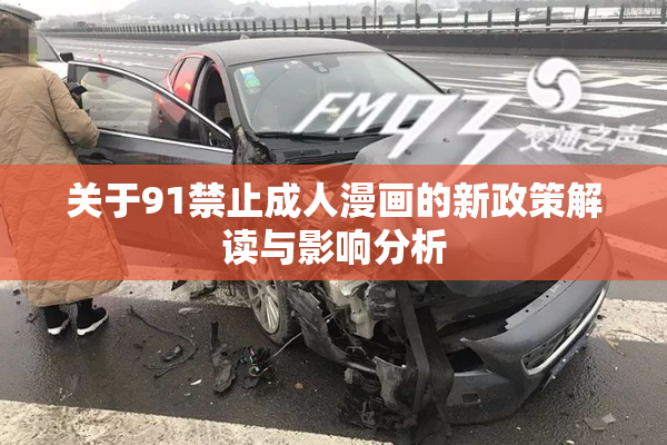 关于91禁止成人漫画的新政策解读与影响分析