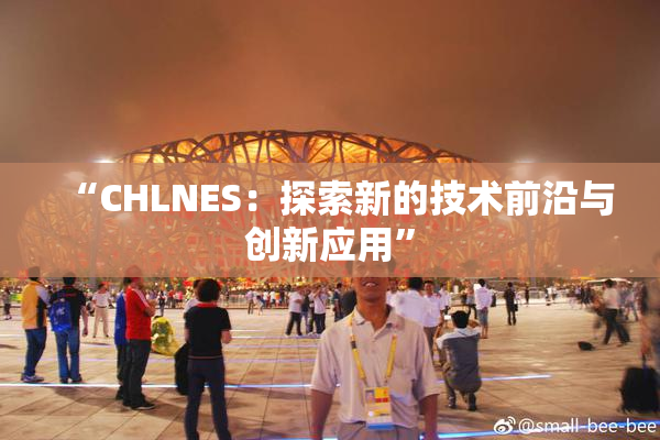 “CHLNES：探索新的技术前沿与创新应用”