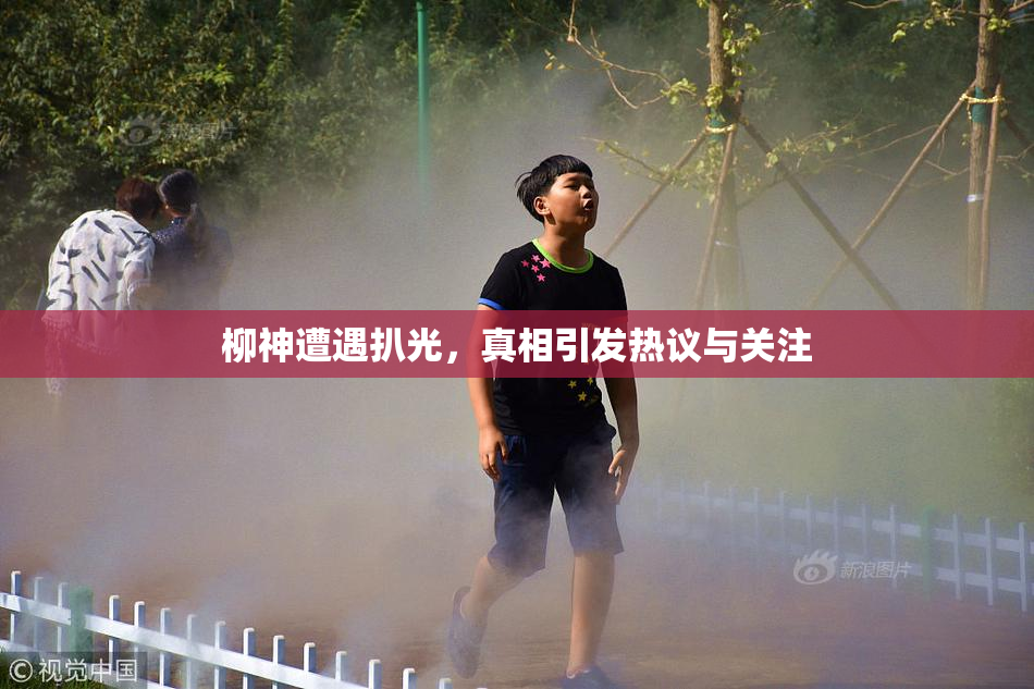 柳神遭遇扒光，真相引发热议与关注