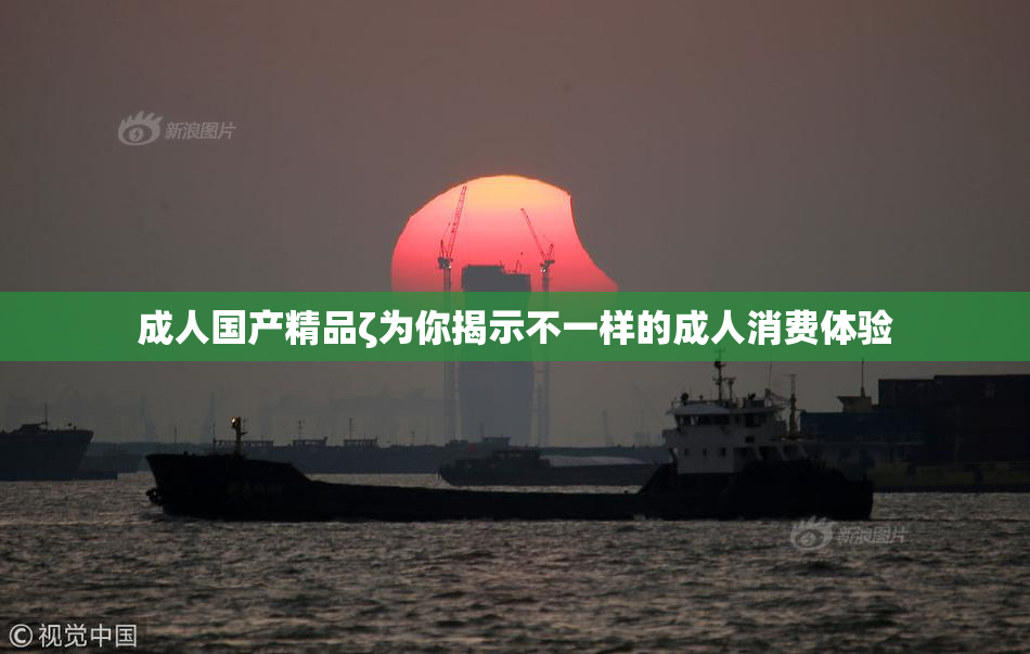 成人国产精品ζ为你揭示不一样的成人消费体验