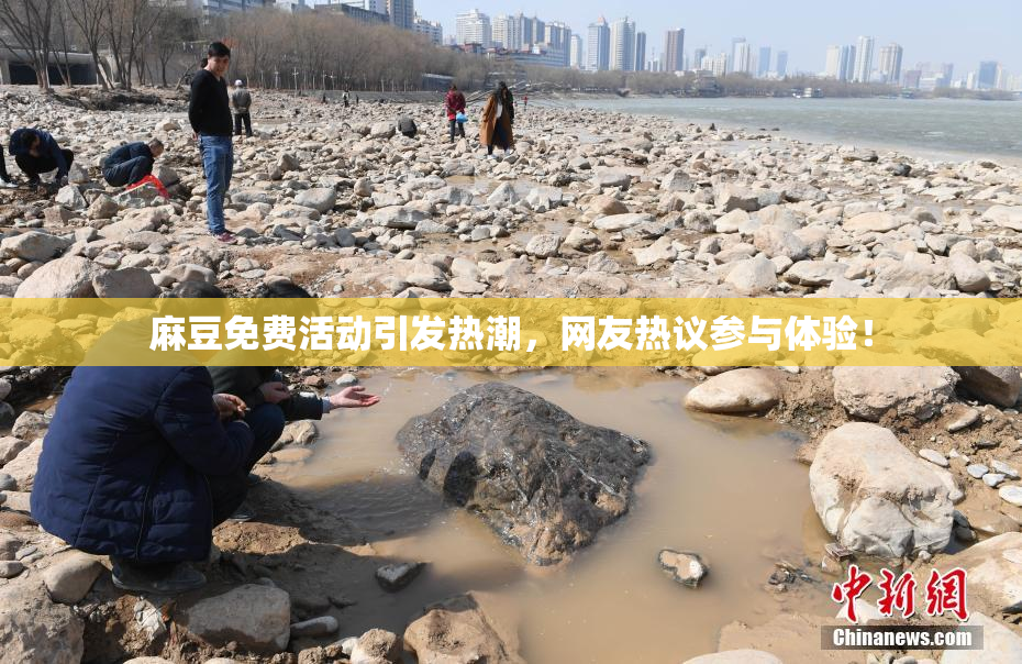 麻豆免费活动引发热潮，网友热议参与体验！