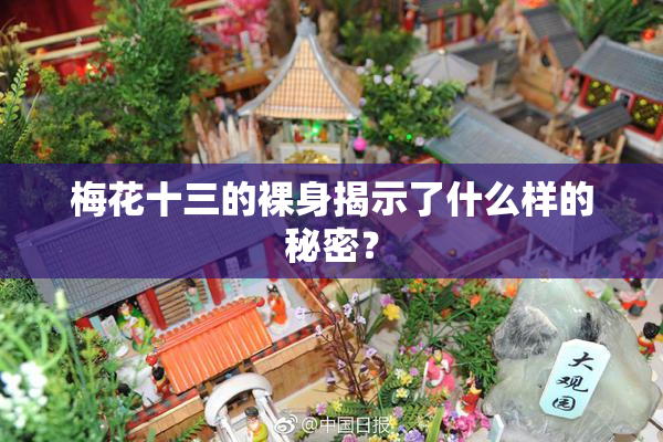 梅花十三的裸身揭示了什么样的秘密？