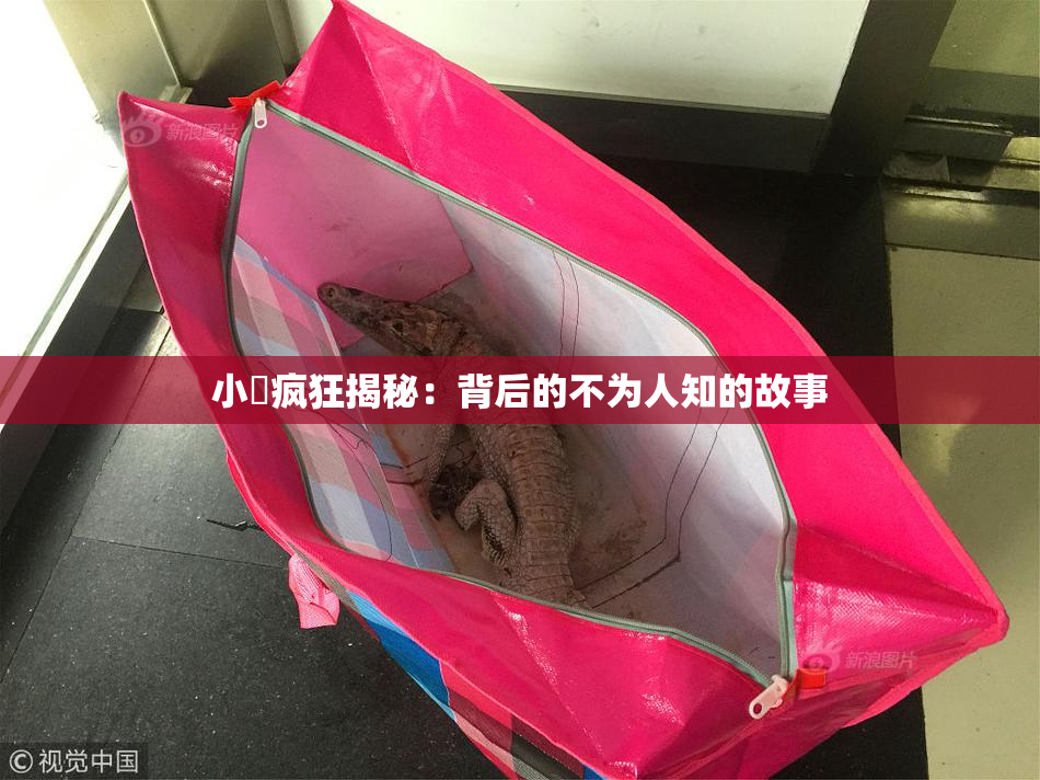 小泬疯狂揭秘：背后的不为人知的故事