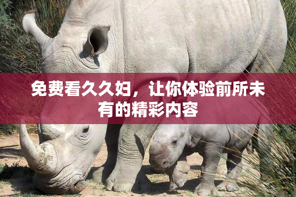 免费看久久妇，让你体验前所未有的精彩内容