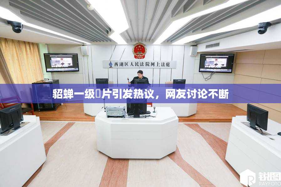 貂蝉一级婬片引发热议，网友讨论不断