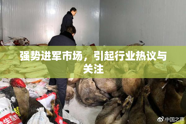 强势进军市场，引起行业热议与关注