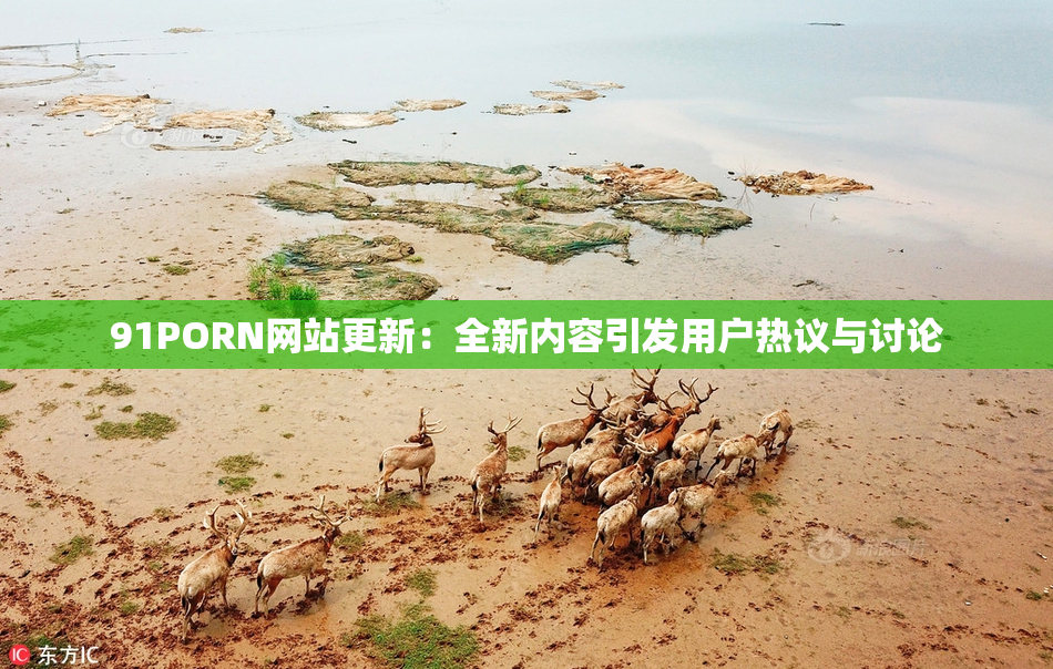 91PORN网站更新：全新内容引发用户热议与讨论