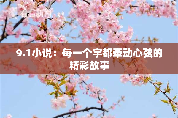 9.1小说：每一个字都牵动心弦的精彩故事